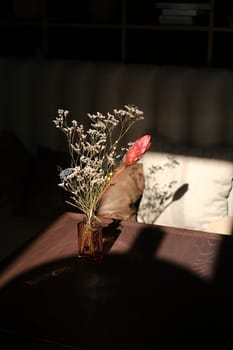 Minimalist Flower Arrangement in Glass Vase Captured in Soft Sunlight with Cast Shadow