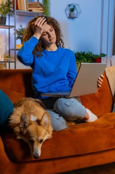 Angry upset young woman using laptop netbook receiving bad news while sits on sofa in living room at home. Displeased sad female girl freelancer sitting restlessly on couch in apartment. Vertical