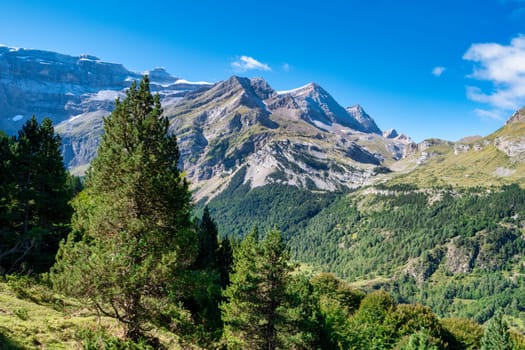 A mountain range with a clear blue sky and trees in the foreground. The trees are tall and green, and the sky is bright and clear. The scene is peaceful and serene