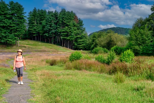 A woman is walking on a path in a grassy field. The sky is blue and there are trees in the background