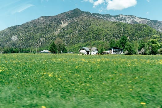 On a sunny day, a car drives past vibrant green fields dotted with yellow flowers, revealing stunning mountains in the background. The landscape captures the beauty of Upper Austria.