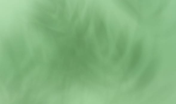 Soft, blurred shadows of palm leaves are cast across a solid light green background, creating a subtle and organic texture with copy space.