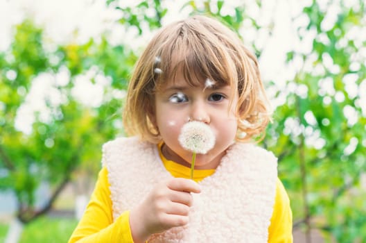 Child blowing dandelion in park. Selective focus. Allergy Kid.