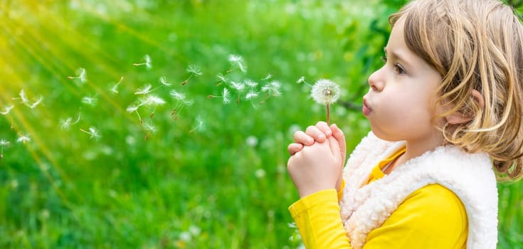 Child blowing dandelion in park. Selective focus. Allergy Kid.