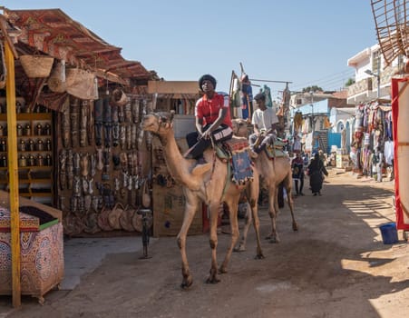 Aswan, Egypt - 5 November 2024: Traditional street market in Nubian Village with locals riding camels along the street