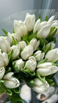 This elegant bouquet of white tulips symbolizes purity and grace. Ideal for weddings or special occasions, these flowers add a touch of beauty to any celebration or heartfelt gesture.