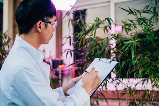 Asian man checking hemp plants in the field writing on clipboard in front of a plant of a cannabis sativa, Scientist wearing safety goggles check quality control marijuana researcher, herbal medicine