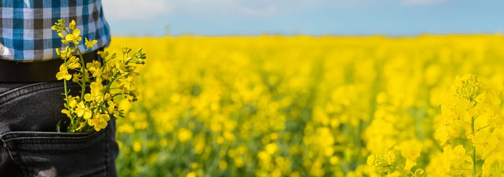 farmer in mustard field. Selective focus. nature.