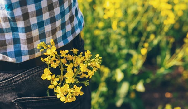 farmer in mustard field. Selective focus. nature.