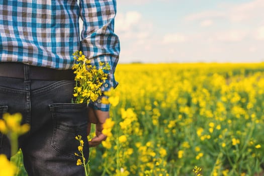 farmer in mustard field. Selective focus. nature.