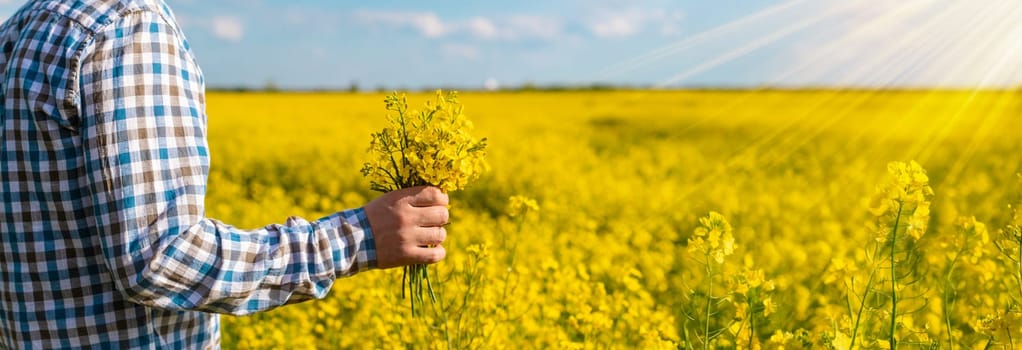 farmer in mustard field. Selective focus. nature.