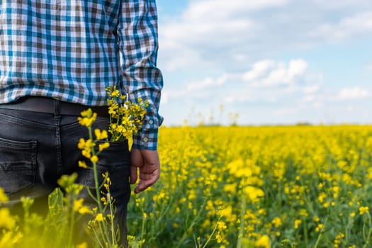 farmer in mustard field. Selective focus. nature.
