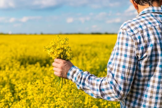 farmer in mustard field. Selective focus. nature.