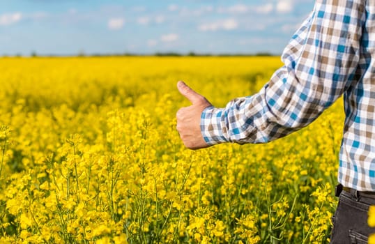 farmer in mustard field. Selective focus. nature.
