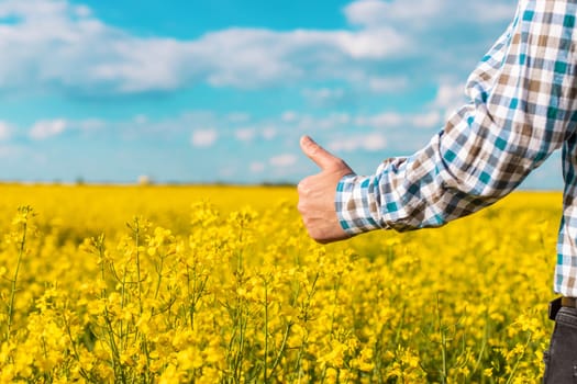 farmer in mustard field. Selective focus. nature.