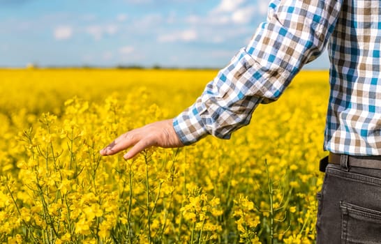 farmer in mustard field. Selective focus. nature.
