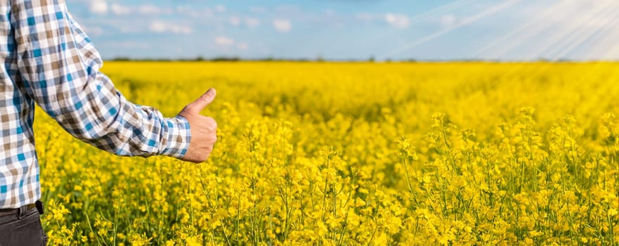 farmer in mustard field. Selective focus. nature.