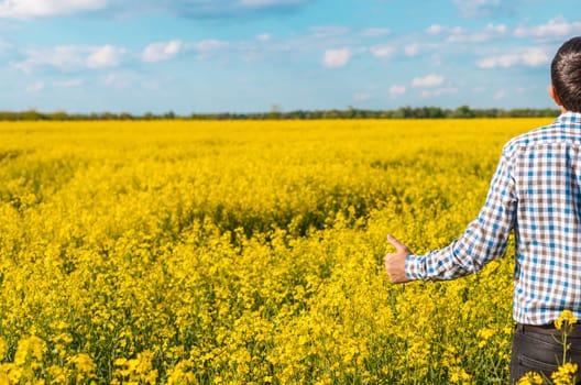 farmer in mustard field. Selective focus. nature.