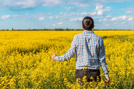 farmer in mustard field. Selective focus. nature.