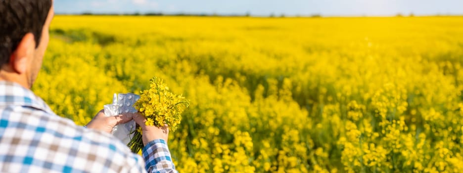 Yellow field flowers allergy. Selective focus. Nature.