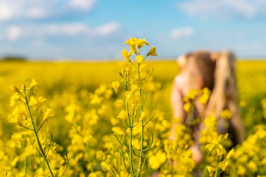 Yellow field flowers allergy. Selective focus. nature.