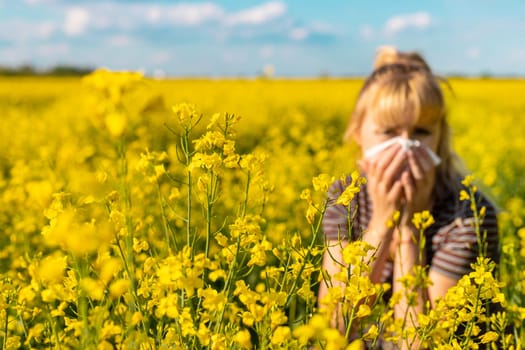Yellow field flowers allergy. Selective focus. nature.