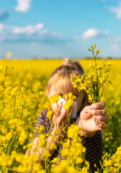 Yellow field flowers allergy. Selective focus. nature.