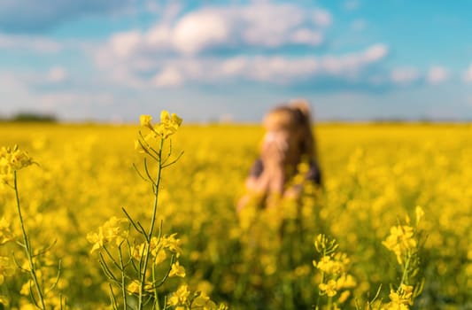Yellow field flowers allergy. Selective focus. nature.
