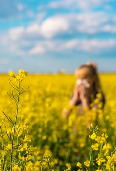 Yellow field flowers allergy. Selective focus. nature.