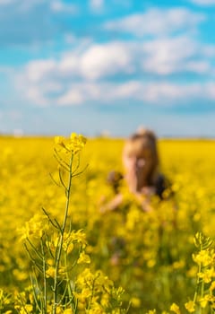 Yellow field flowers allergy. Selective focus. nature.