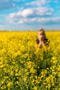 Yellow field flowers allergy. Selective focus. nature.