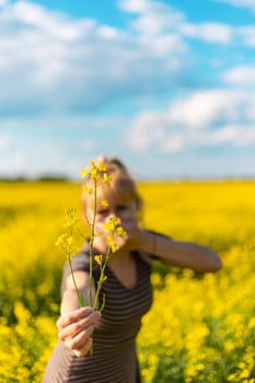 Yellow field flowers allergy. Selective focus. nature.