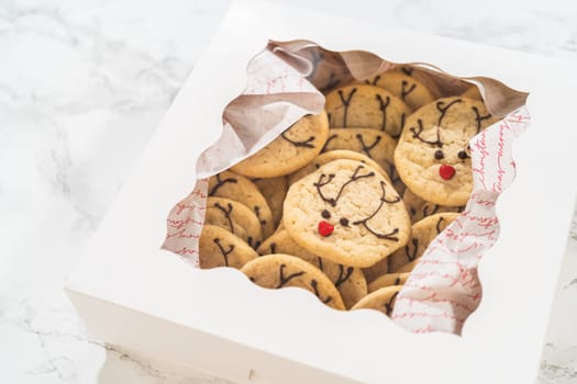 A close-up top-down view of a white gift box filled with Easy Last Minute Reindeer Sugar Cookies, decorated with chocolate antlers and red noses. The cookies are nestled in festive parchment paper, making them perfect for holiday gifting.