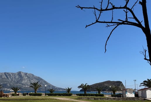 Budva, Montenegro - April 11,2025:A scenic view of the coastline with palm trees, distant mountains, small white cabins, and a clear blue sky. High quality photo