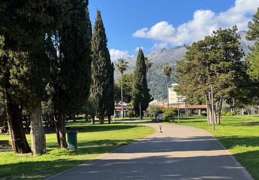 Budva,Montenegro-April 11,2025:A wide paved path winds through a green park with tall cypress and palm trees, and a backdrop of mountains. High quality photo