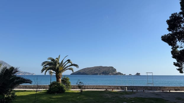 Peaceful ocean view from a landscaped park with palm trees, benches, and a distant forested island. High quality photo