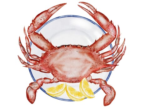 Crab watercolor. Hand drawn sea animal on a plate with lemon on isolated white background. Clip art sea food. Ideal for restaurant menus, packaging, cards and logo of organic ocean product. High quality illustration