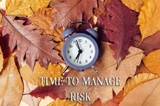 Clock is on top of a pile of leaves time to manage risk. The clock reads 10:30. The leaves are orange and brown