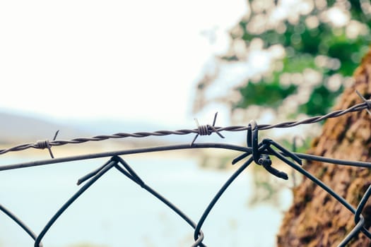 Chain link fence with a barbed wire on top. The wire is attached to a tree