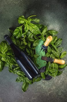 Wine bottle lying on fresh basil leaves near cheese tools and green cheese on dark background, celebrating flavors and aromas