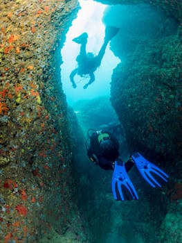group of two divers diving between the walls covered in coral and sea sponges of an underwater canyon, concept of recreational scuba diving and underwater adventure