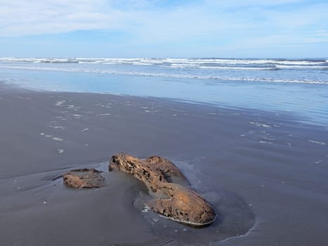 A small piece of old driftwood lays partly buried in the Kalaloch beach in Washington.