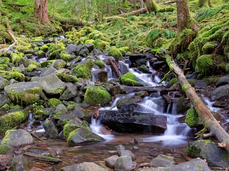 A close up of the moss covered rocks and small cascades along the Sol Duc trail in western Washington.