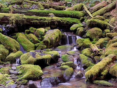 A close up of the moss covered rocks and small cascades along the Sol Duc trail in western Washington.