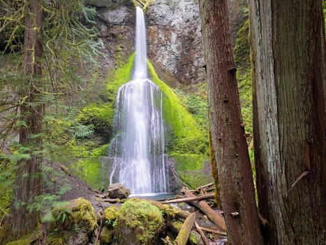 The lush and beautiful Marymere Falls, in the Olympic National Park in Washington State.