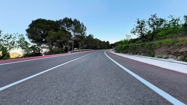 Embark on an adventure down a stunning winding road lined with trees, capturing the essence of natures peace