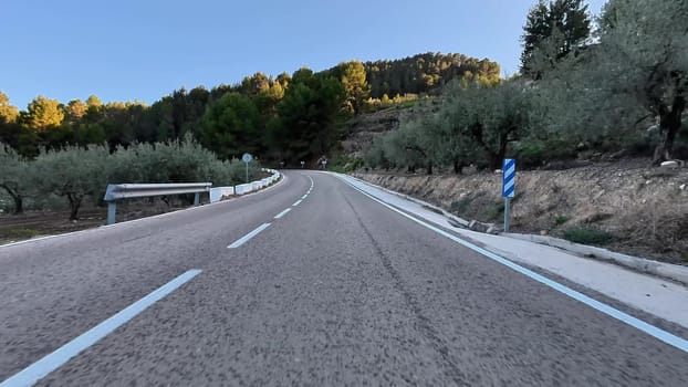 Take a scenic drive along a stunning winding road that is beautifully surrounded by verdant greenery and olive trees