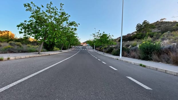 A tranquil and peaceful road beautifully lined with lush green trees, ideal for nature enthusiasts and scenic drives