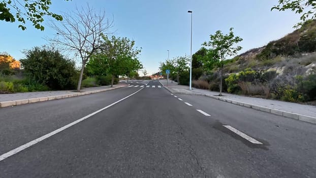 This picturesque view showcases an empty urban road beautifully lined with tall trees under clear, blue skies