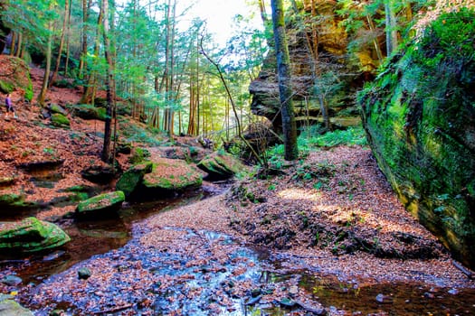 Views at Old Man's Cave, Hocking Hills State Park, Ohio